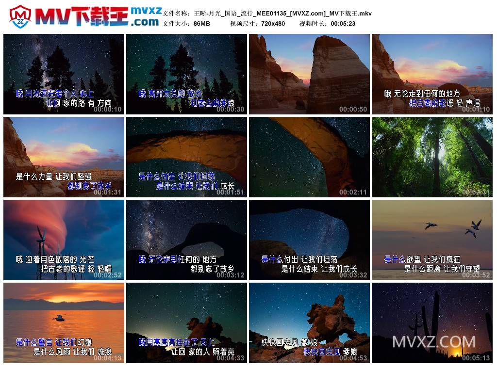 王晰-月光_国语_流行_MEE01135